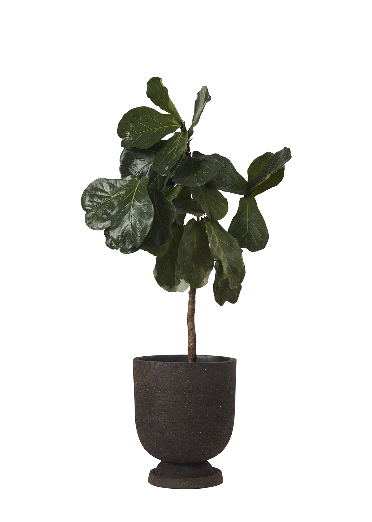 TERRA flowerpot saucer